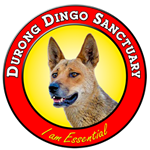 Durong Dingo Sanctuary